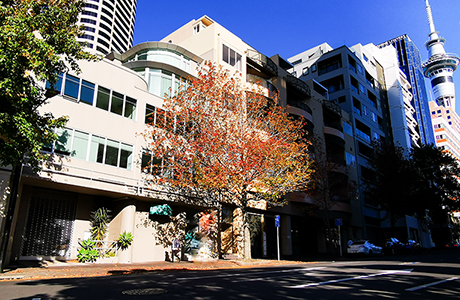 New Zealand Language Centres